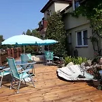 Goscinne Motylek ジビジノ