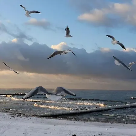 Goscinne Motylek Ferienpark *