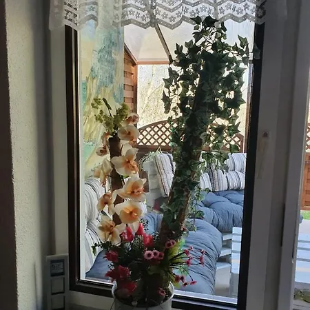 Ferienpark Goscinne Motylek