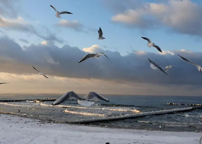 Goscinne Motylek Prázdninový areál *